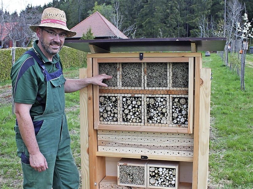 Neue Heimat für Wildbienen